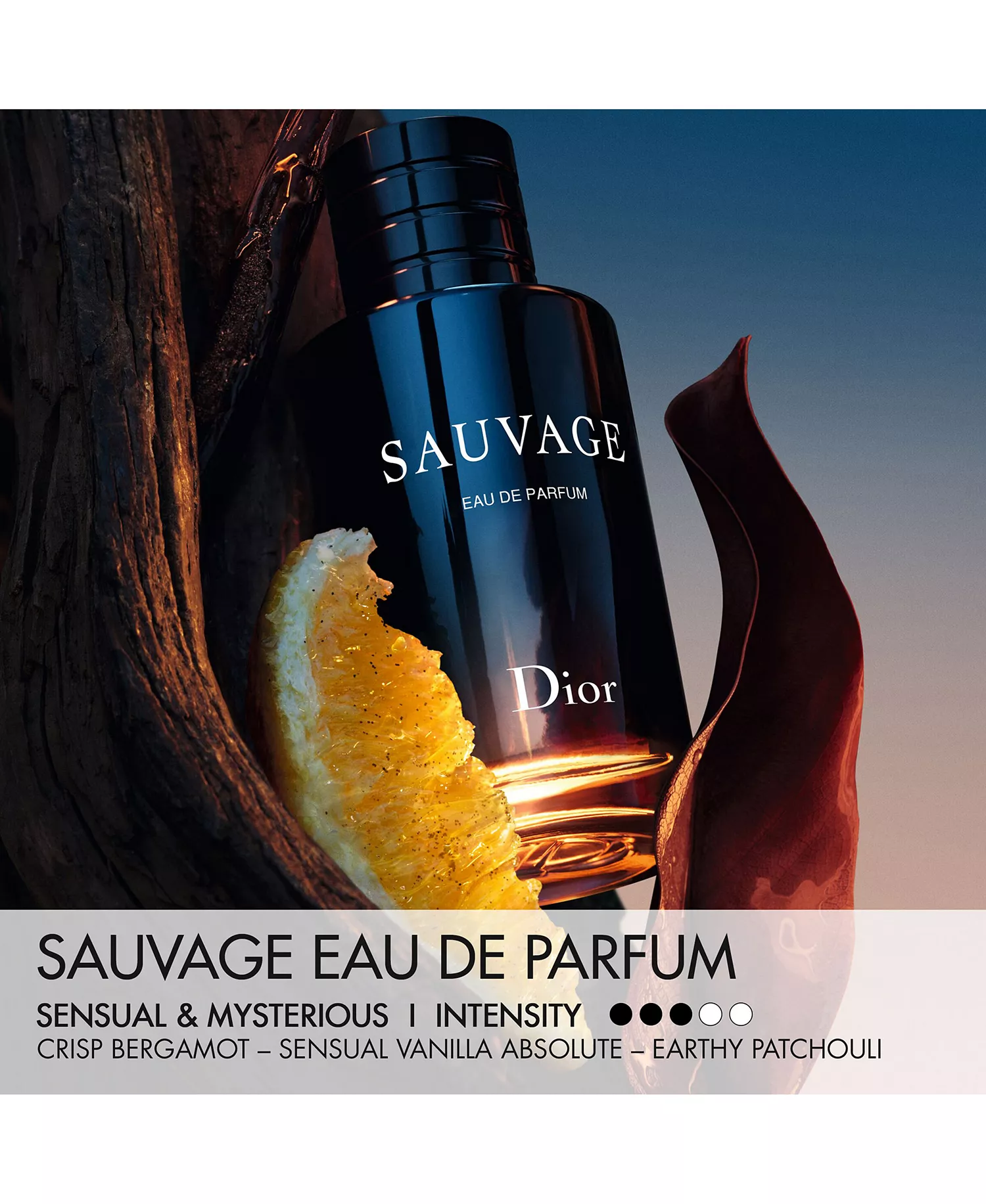 Sauvage Eau de Parfum — Spicy Bergamot & Vanilla Absolute Woody Men's Luxury Fragrance | Mysterious & Sensual 100ml